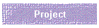 Project